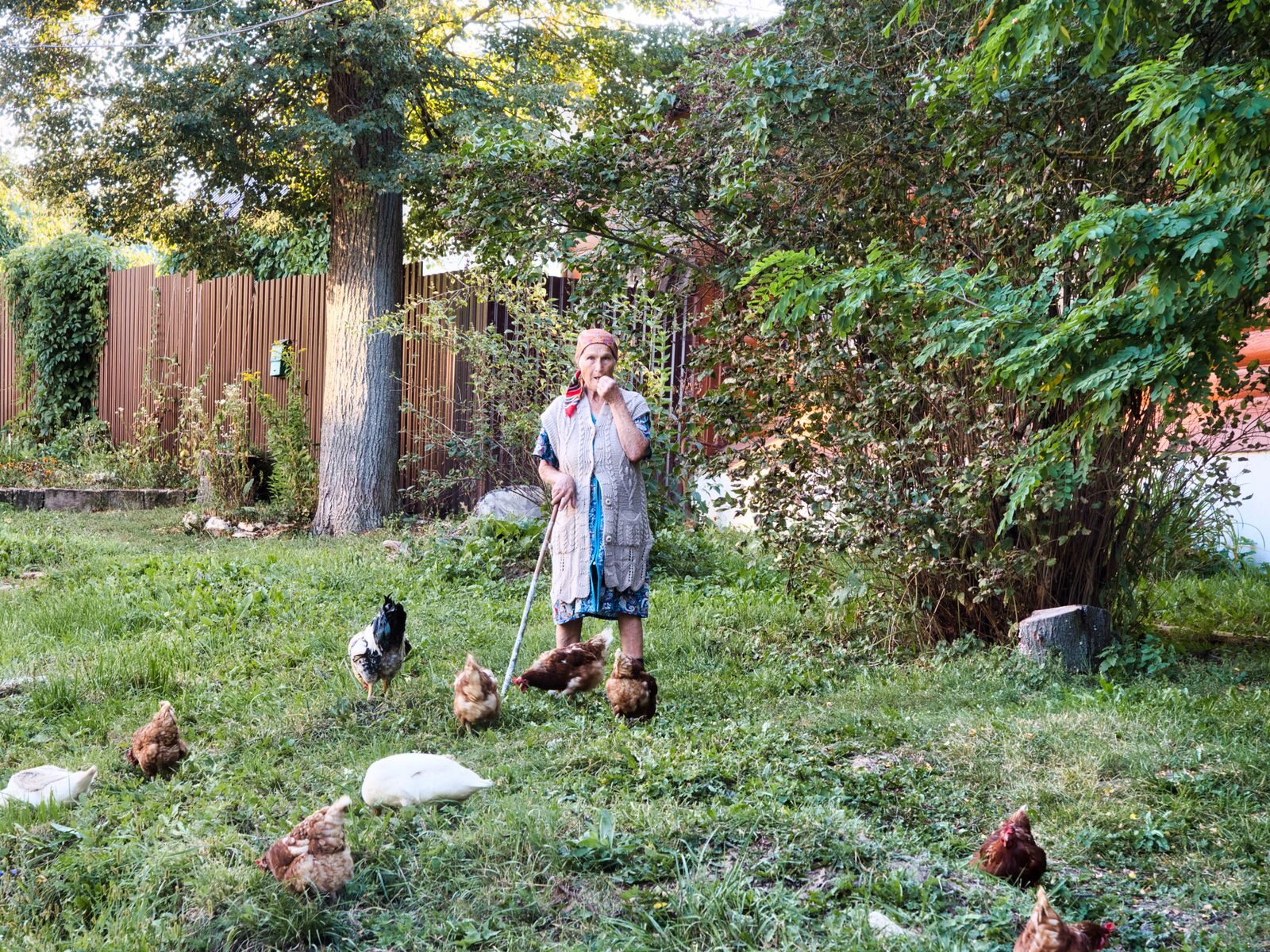 Comment utiliser efficacement une épuisette à poules pour faciliter la gestion de votre élevage ?